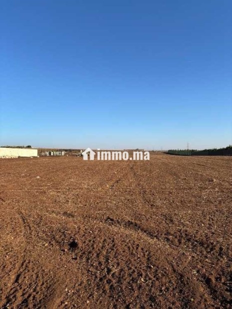 ارض للبيع بولاد زيان بالقرب من براج الواد المالح - Vente Immobilier - Casablanca - photo 2