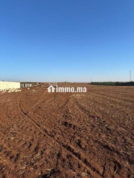 ارض للبيع بولاد زيان بالقرب من براج الواد المالح - Vente Immobilier - Casablanca - photo 3