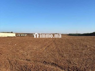 ارض للبيع بولاد زيان بالقرب من براج الواد المالح - Terrain à vendre - Casablanca
