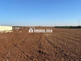 ارض للبيع بولاد زيان بالقرب من براج الواد المالح - Terrain à vendre - Casablanca