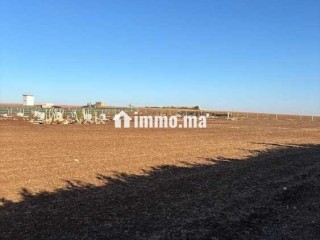 ارض للبيع بولاد زيان بالقرب من براج الواد المالح - Terrain à vendre - Casablanca