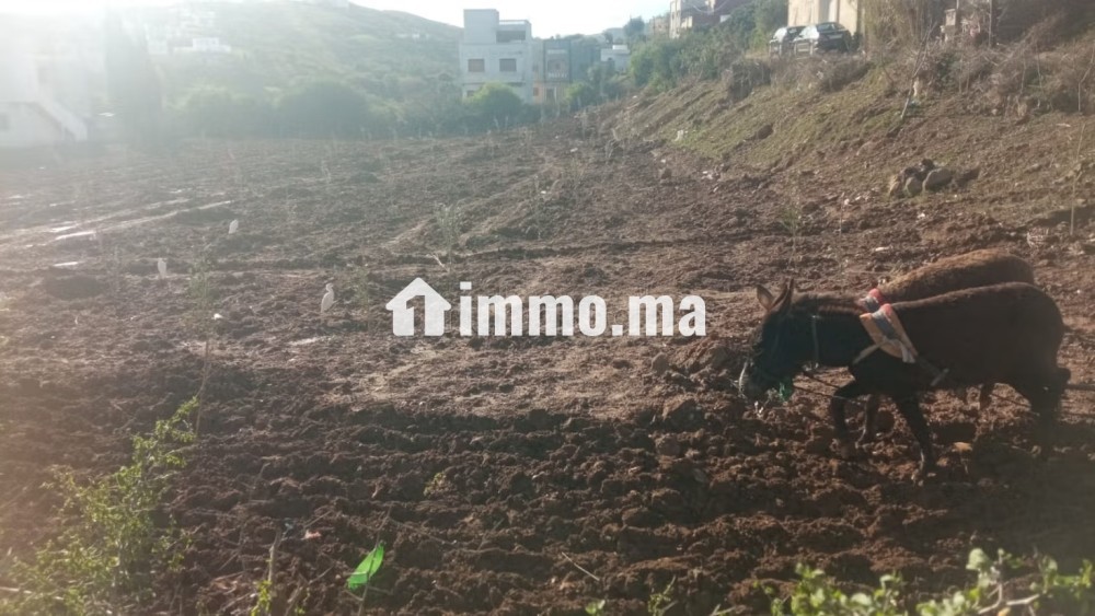 Vente de terrain à Azla. Surface de 3800 m² - Vente Immobilier - Autre - photo 2