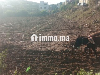Vente de terrain à Azla. Surface de 3800 m² - Terrain à vendre - Autre