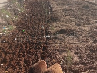 Vente de terrain à Azla. Surface de 3800 m² - Terrain à vendre - Autre
