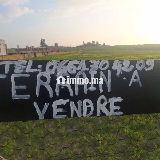 Terrain agricol titré 1.4 ha SIDI EL MEKKI berrec - Vente Immobilier - Berrechid - photo 2