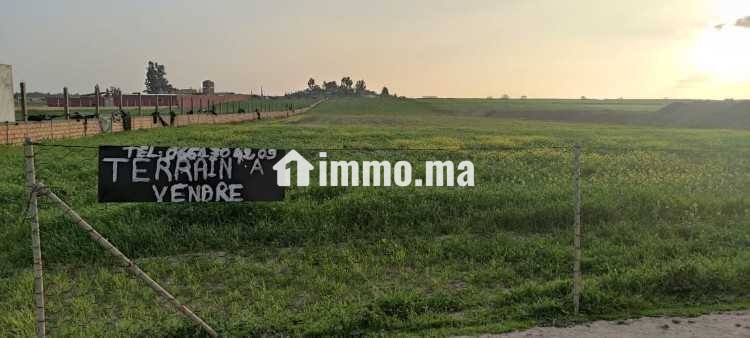 Terrain agricol titré 1.4 ha SIDI EL MEKKI berrec - Vente Immobilier - Berrechid - photo 3