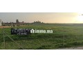 Terrain agricol titré 1.4 ha SIDI EL MEKKI berrec - miniature 3