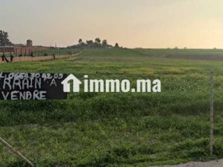 Terrain agricol titré 1.4 ha SIDI EL MEKKI berrec - Terrain à vendre - Berrechid