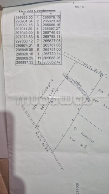 Terrain agricole settat - Vente Immobilier - Autre - photo 2