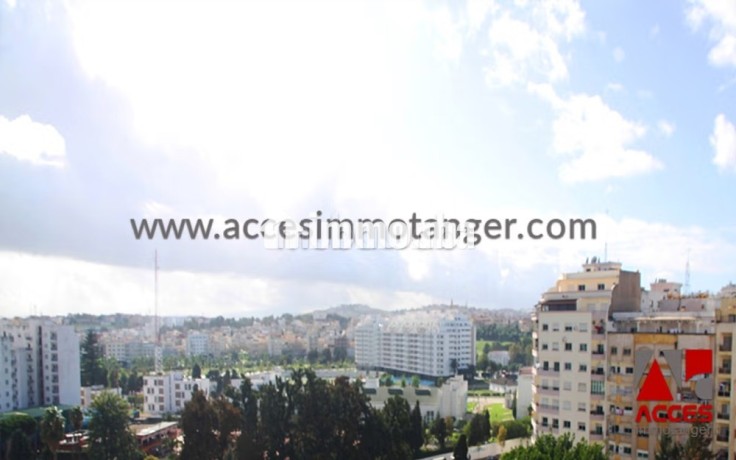 appartement-lumineux-en-location-big-0