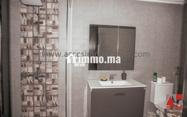 appartement-lumineux-en-location-big-9