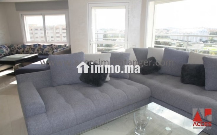 appartement-lumineux-en-location-big-1