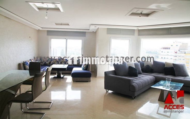 appartement-lumineux-en-location-big-2