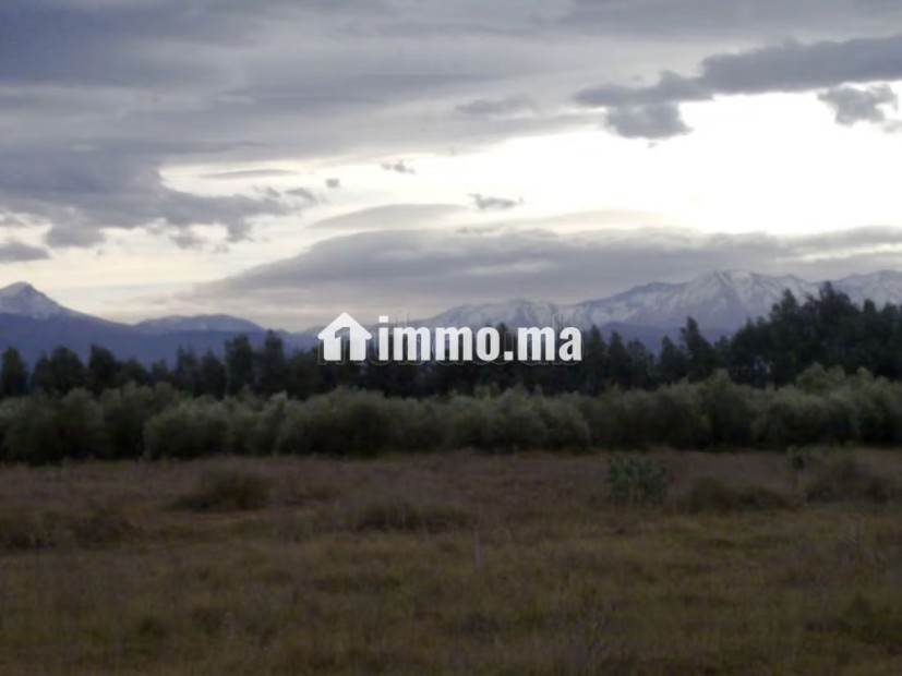 Opportunité Rare: Domaine Agricole et touristique 32 Ha à 15 min de Marrakech - Vente Immobilier - Marrakech - photo 1