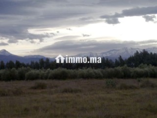 Opportunité Rare: Domaine Agricole et touristique 32 Ha à 15 min de Marrakech - Appartement à vendre - Marrakech