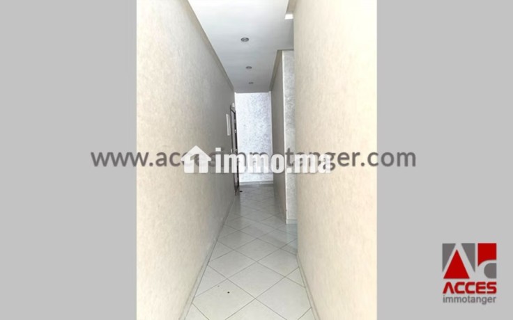 appartement-spacieux-et-vide-au-coeur-de-la-ville-big-1