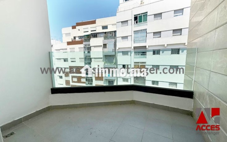 appartement-spacieux-et-vide-au-coeur-de-la-ville-big-3