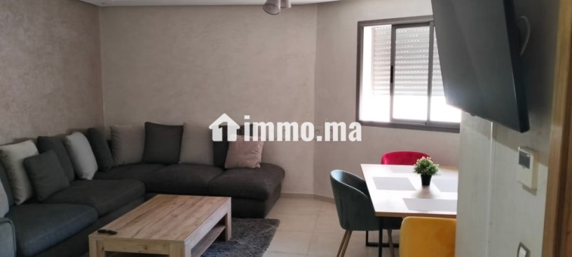 location-dun-appartement-a-la-siesta-superficie-55-m2-televiseur-big-6