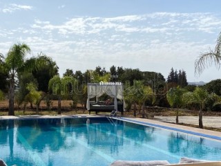 Magnifique ferme à vendre sur la route - Terrain à vendre - Benslimane