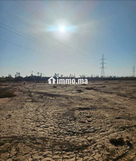 Terrain titré Constructible Bab Atlas, pas de VNA - Vente Immobilier - Marrakech - photo 2