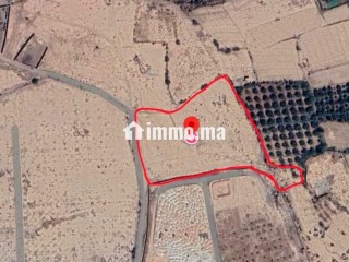 Terrain titré Constructible Bab Atlas, pas de VNA - Terrain à vendre - Marrakech