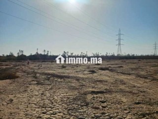 Terrain titré Constructible Bab Atlas, pas de VNA - Terrain à vendre - Marrakech