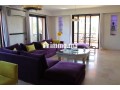 Grand appartement de trois chambres avec terrasse - miniature 2