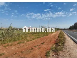 Terrain industriel Chellalates de 15000 m2 , zone industrielle mohamadia -I5 - Terrain à vendre - Mohammedia