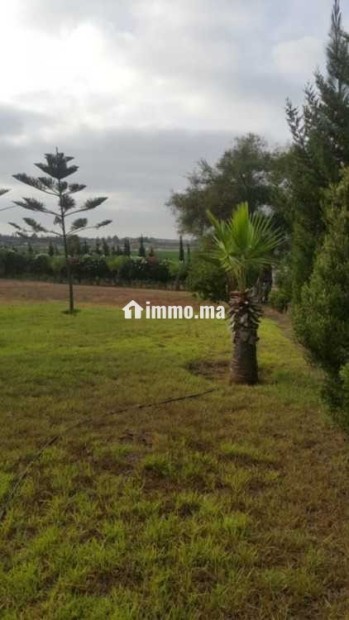Fermes à vendre à bensliman - Vente Immobilier - Bouznika - photo 1