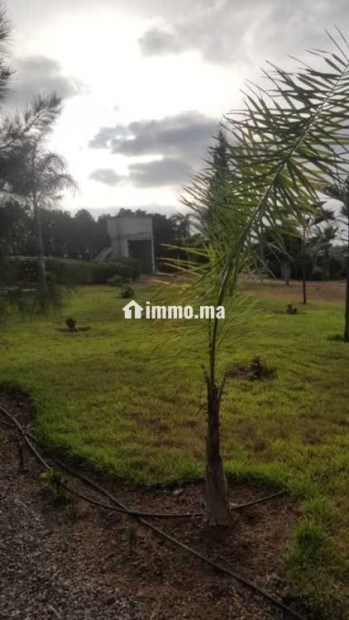 Fermes à vendre à bensliman - Vente Immobilier - Bouznika - photo 2