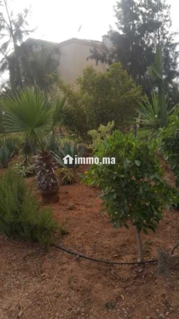 Fermes à vendre à bensliman - Vente Immobilier - Bouznika - photo 3