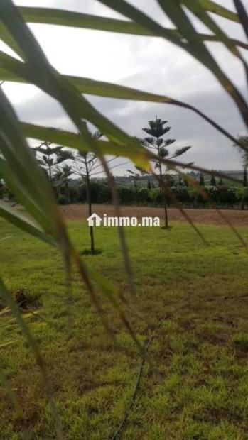 Fermes à vendre à bensliman - Vente Immobilier - Bouznika - photo 5