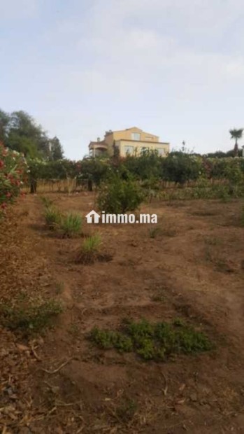 Fermes à vendre à bensliman - Vente Immobilier - Bouznika - photo 6