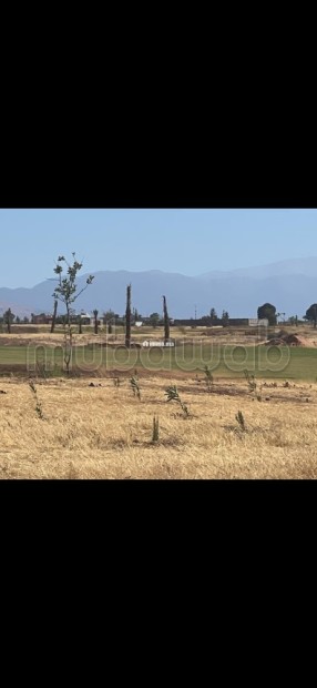 Terrain front de golf - Vente Immobilier - Marrakech - photo 1