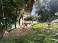 Maison de Plain Pied sur 5000m2 de Terrain Sans VNA - miniature 4