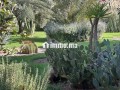 Maison de Plain Pied sur 5000m2 de Terrain Sans VNA - miniature 7