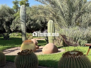 Maison de Plain Pied sur 5000m2 de Terrain Sans VNA - Maison à vendre - Marrakech