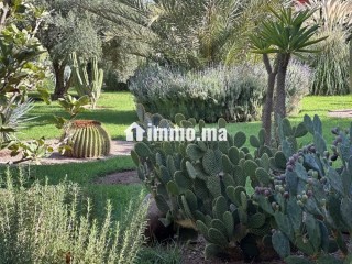 Maison de Plain Pied sur 5000m2 de Terrain Sans VNA - Maison à vendre - Marrakech