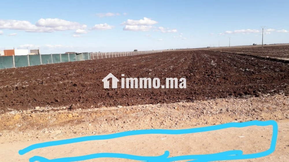 Terrain a vendre - Vente Immobilier - El Gara - photo 1