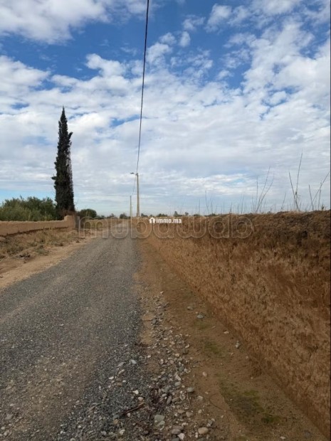 Terrain 5,89HA route Agadir Essaouira - Vente Immobilier - Autre - photo 2