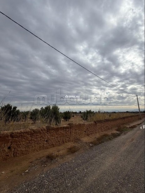 Terrain 5,89HA route Agadir Essaouira - Vente Immobilier - Autre - photo 3