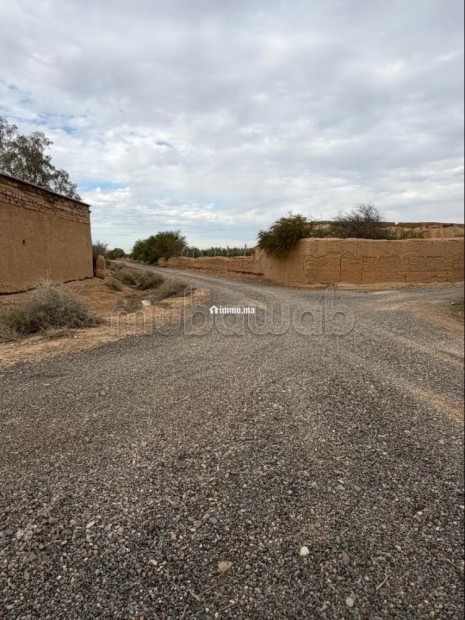 Terrain 5,89HA route Agadir Essaouira - Vente Immobilier - Autre - photo 5