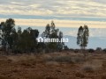 Terrain 5,89HA route Agadir Essaouira - miniature 4