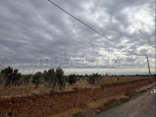 Terrain 5,89HA route Agadir Essaouira - Terrain à vendre - Autre