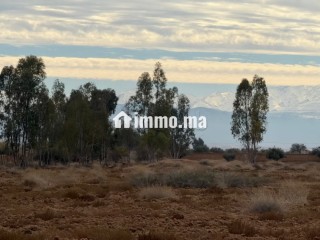 Terrain 5,89HA route Agadir Essaouira - Terrain à vendre - Autre