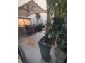 Location appart avec terasse deux ch racine - miniature 1