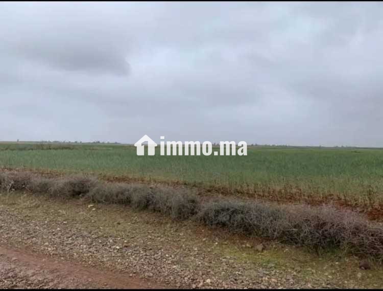 Terrain a vendre - Vente Immobilier - Marrakech - photo 1