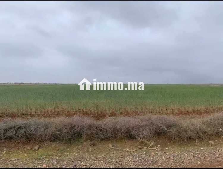 Terrain a vendre - Vente Immobilier - Marrakech - photo 3