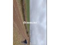 Terrain a vendre - miniature 2