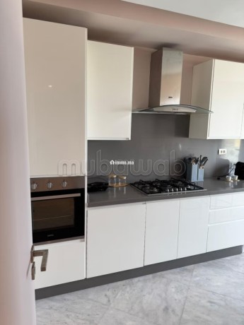 tres-bel-appartement-en-location-a-bourgogne-ouest-superficie-163-m2-bien-meuble-big-9